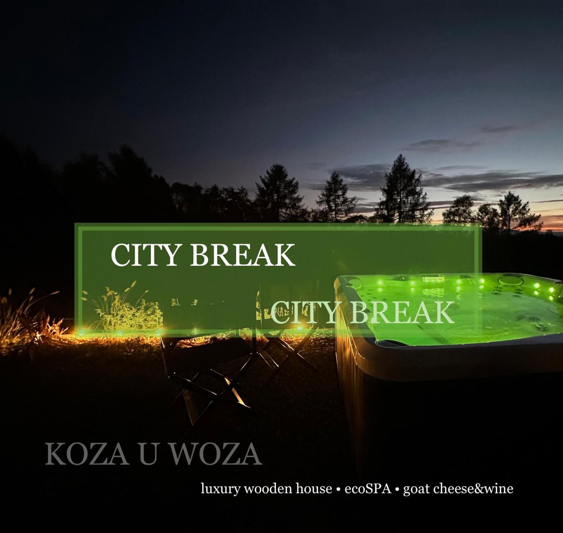 Koza U Woza Wypocznij W Gorach W Rytmie Slow Drewniany Dom Premium Z Widokiem Na Panorame Tatr Ecospa Strefa Fitness Zielona Farma Warsztaty (Adults Only) Szlembark Exterior foto