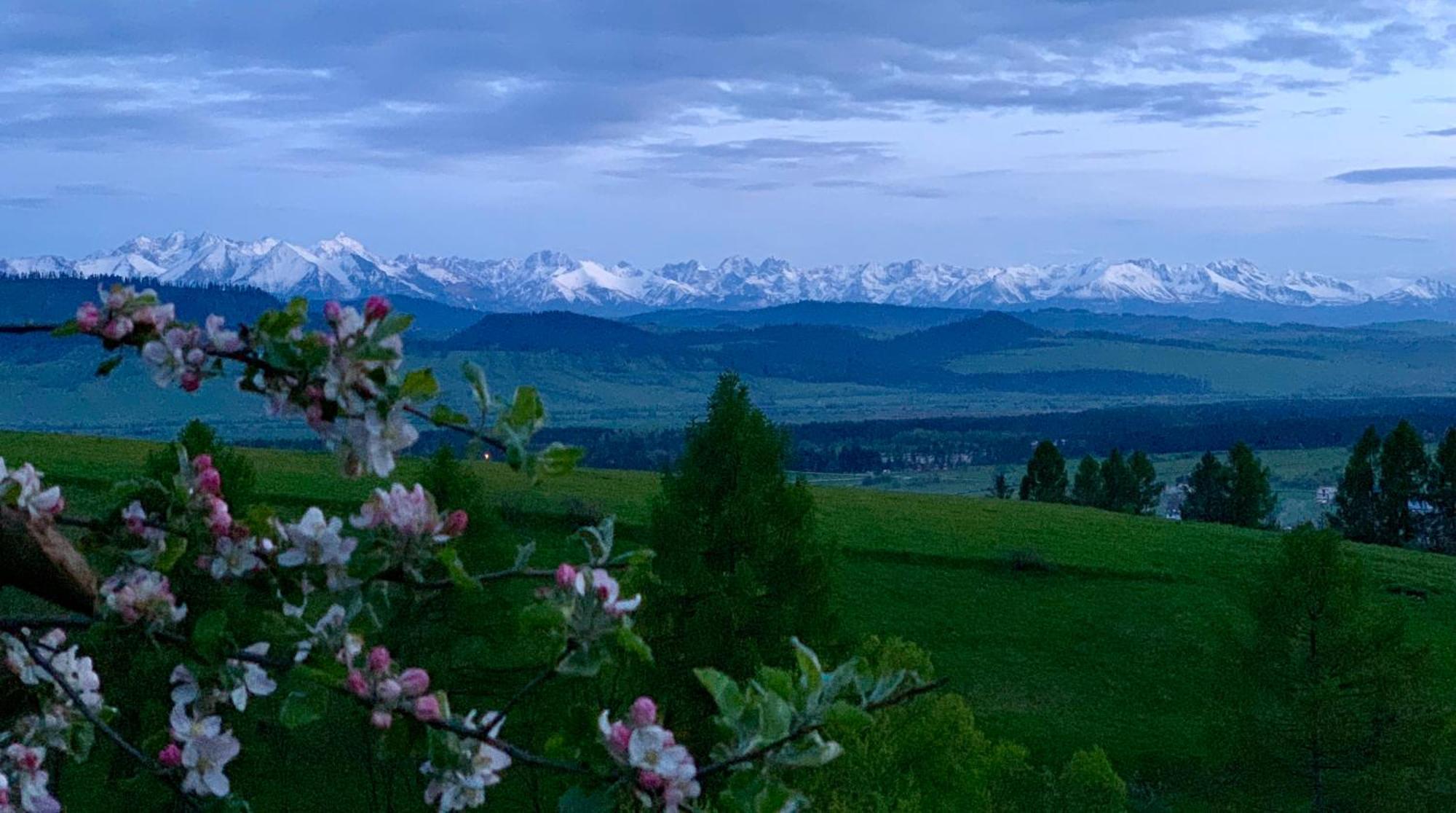 Koza U Woza Wypocznij W Gorach W Rytmie Slow Drewniany Dom Premium Z Widokiem Na Panorame Tatr Ecospa Strefa Fitness Zielona Farma Warsztaty (Adults Only) Szlembark Exterior foto